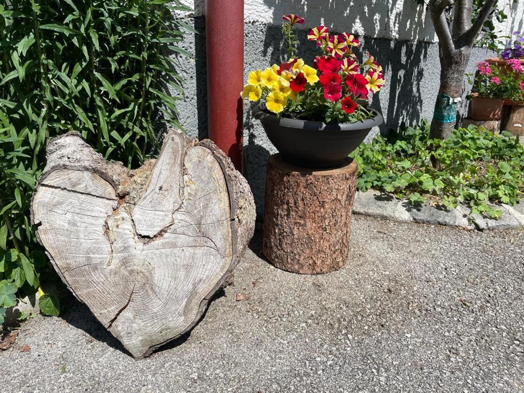 Ferienwohnung Neudegghof Eben Im Pongau Exterior foto